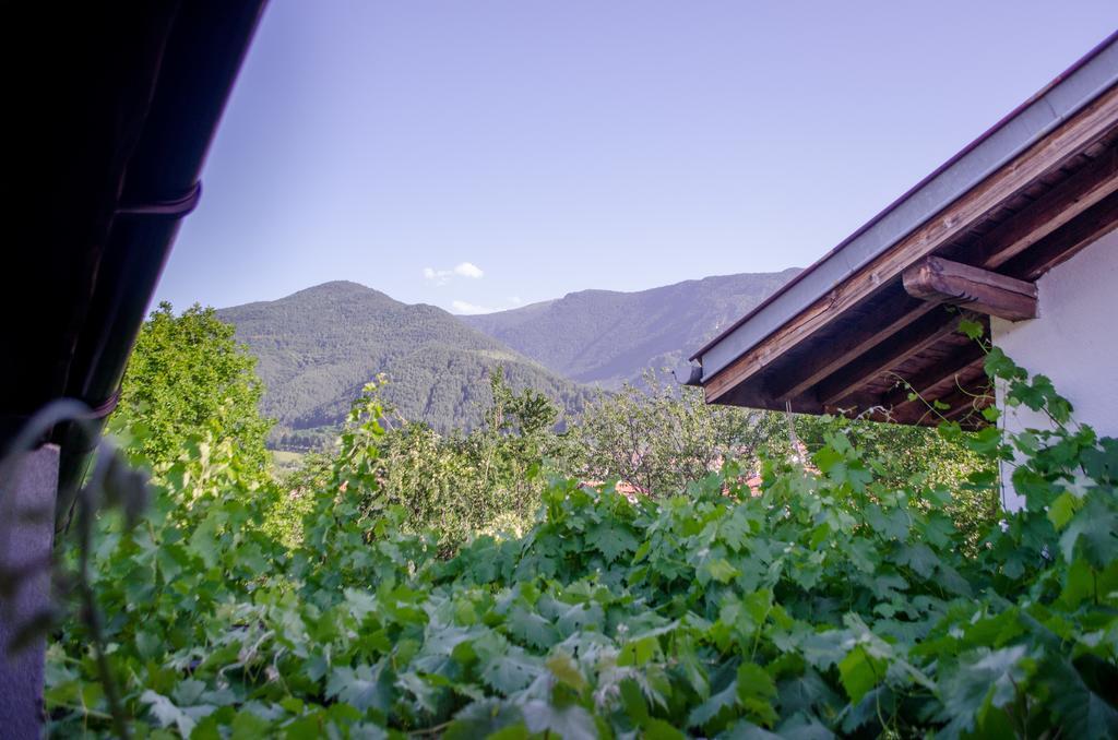 Guesthouse Juli Sapareva Banya Exterior photo