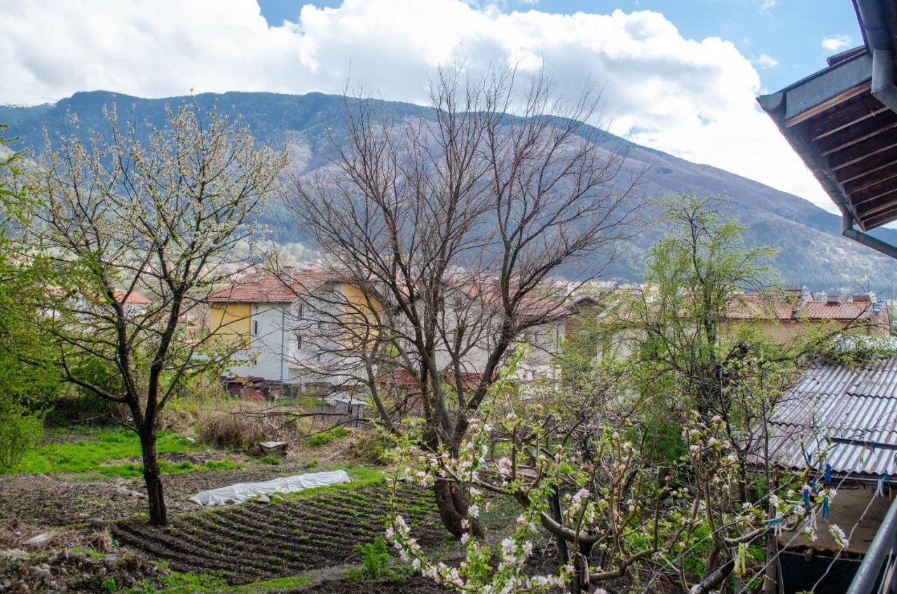 Guesthouse Juli Sapareva Banya Exterior photo