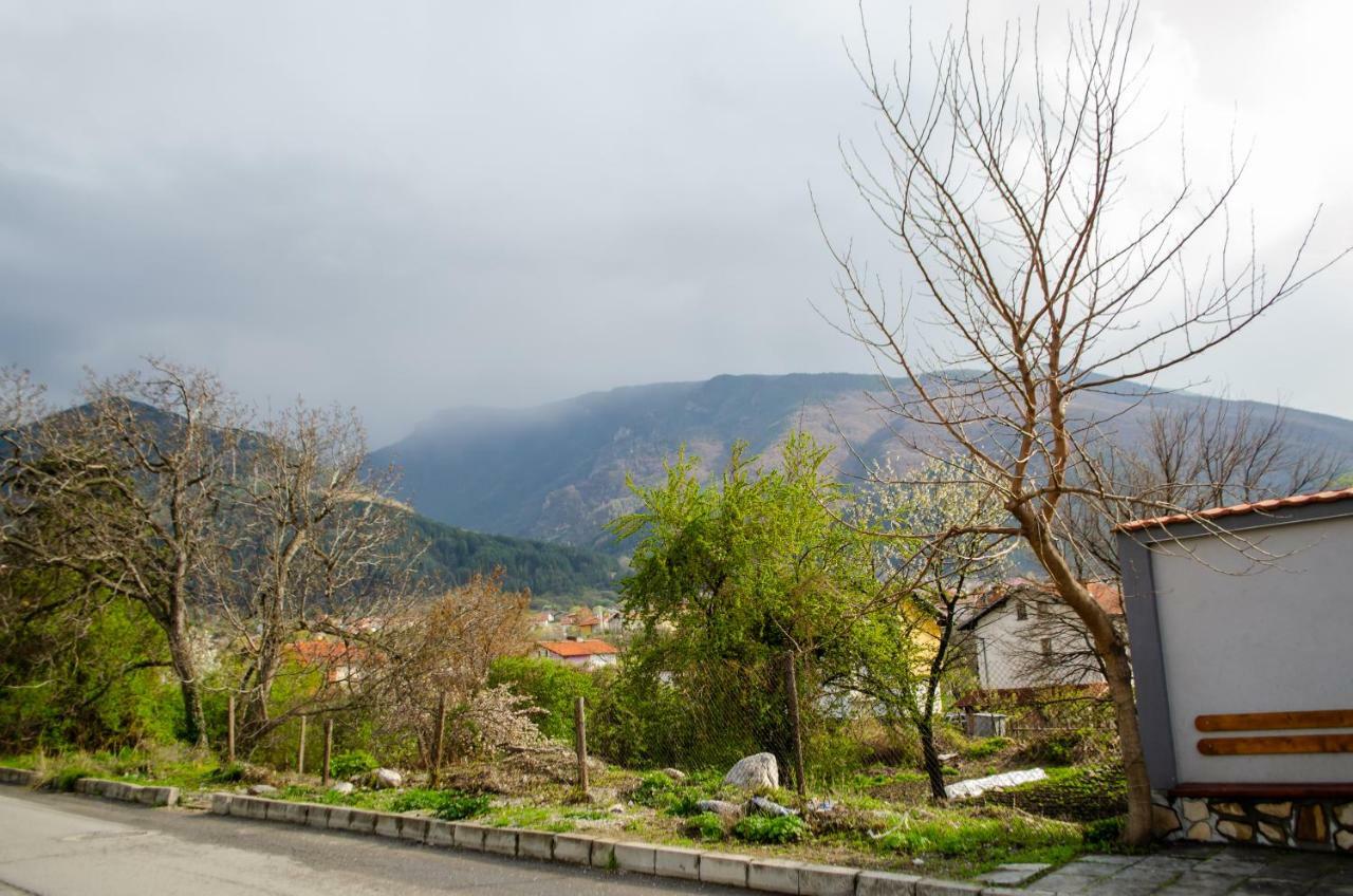 Guesthouse Juli Sapareva Banya Exterior photo